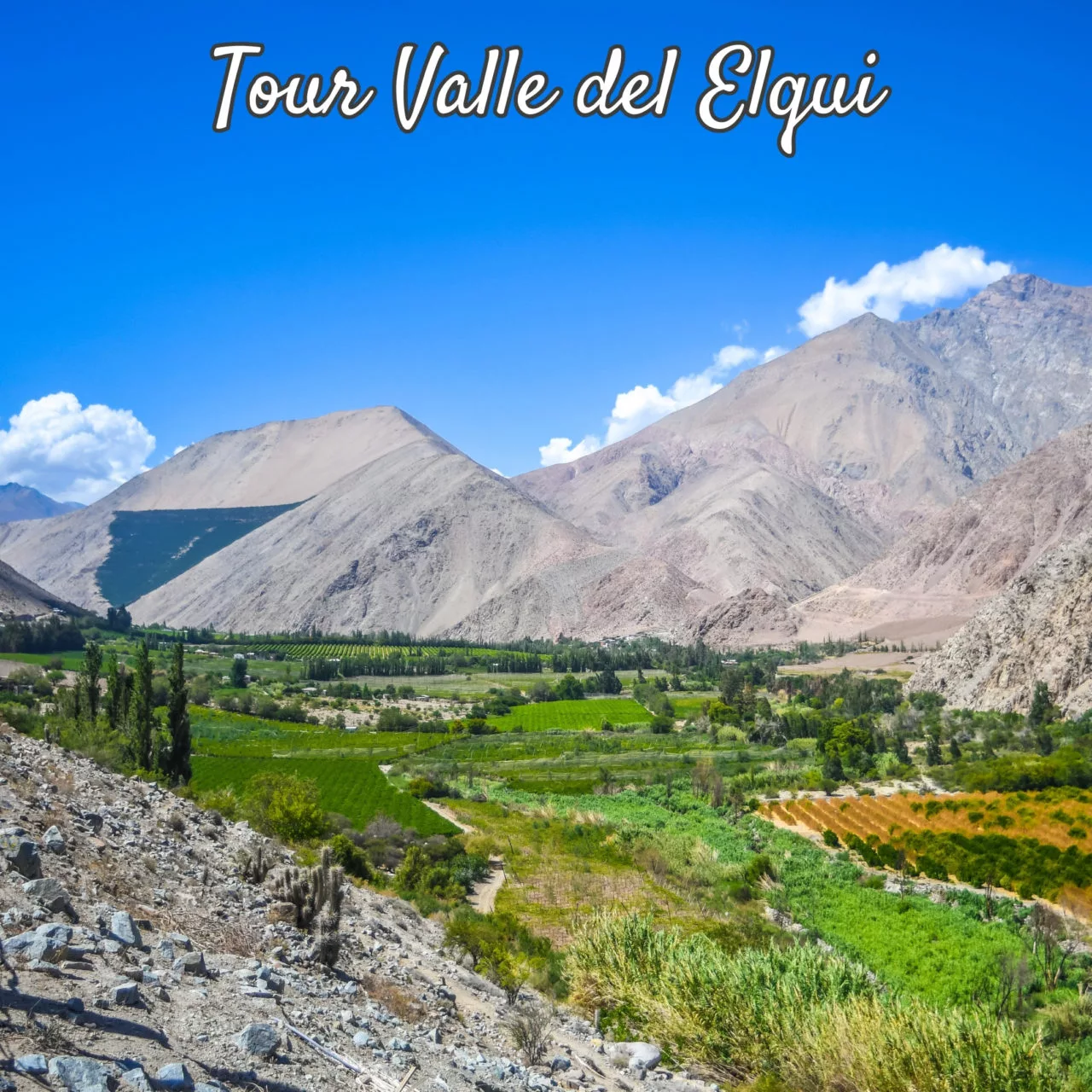 Tours para Grupos en La Serena y Valle del Elqui 1 Tour Valle del Elqui