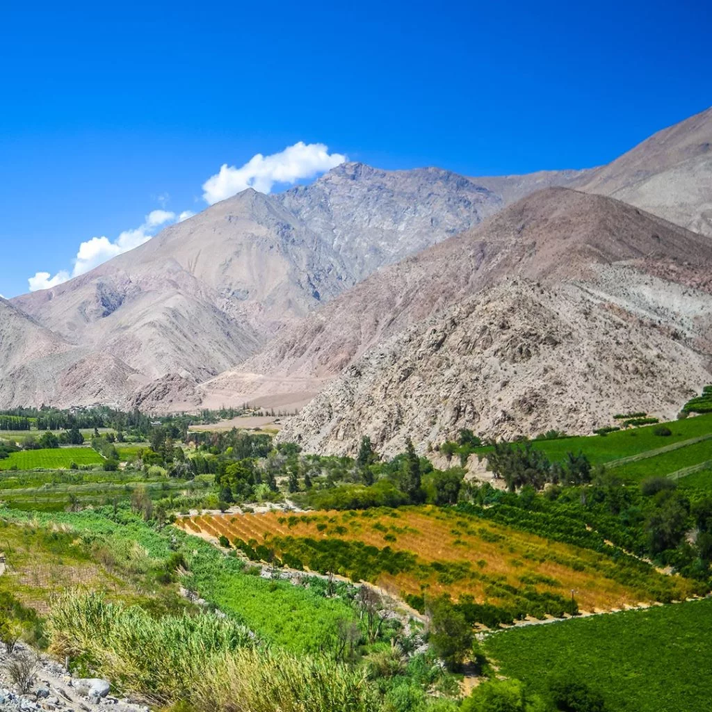 Tours from La Serena 1 Elqui Valley Tour
