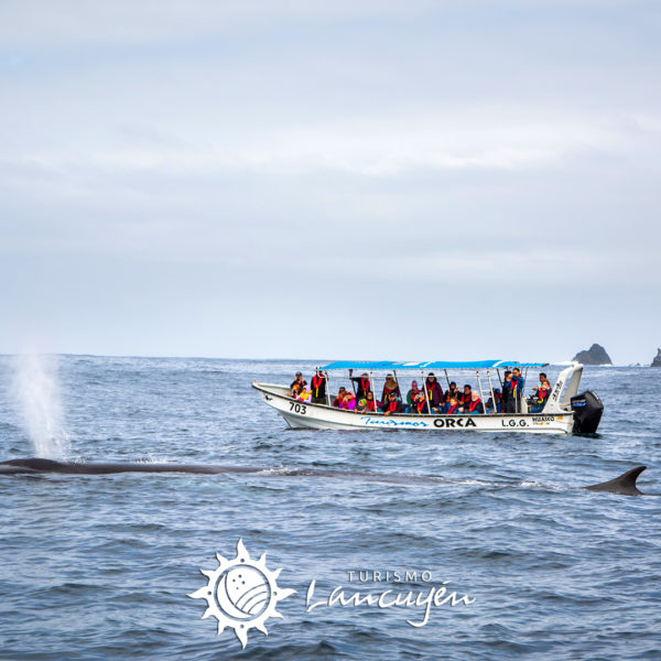 tour-isla-damas-1 Tour Isla Damas - Turismo Lancuyén