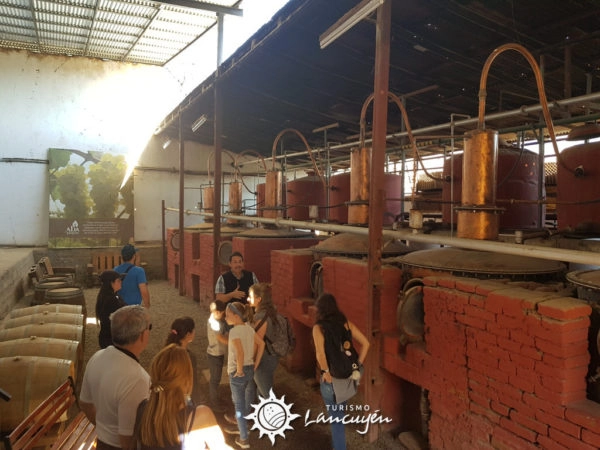 Visita Pisquera con tour y degustacion en fabrica de pisco chileno