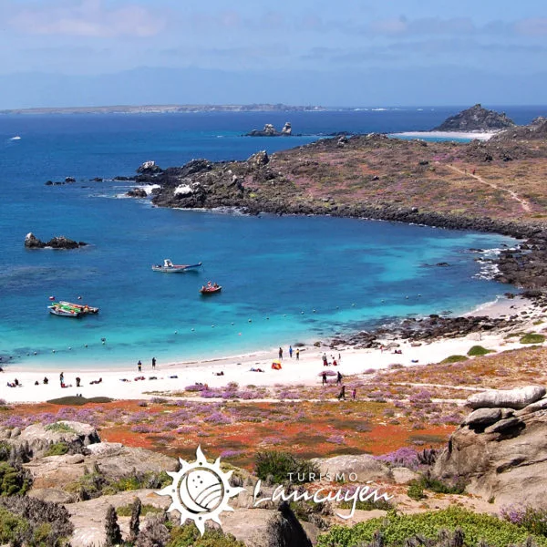 Damas Island Tour - Turismo Lancuyén