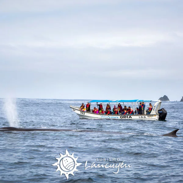 Damas Island Tour - Turismo Lancuyén