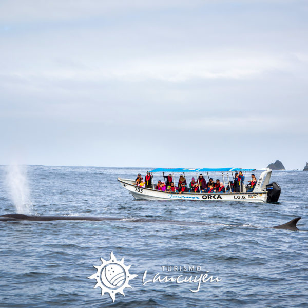 Tour Isla Damas - Turismo Lancuyén