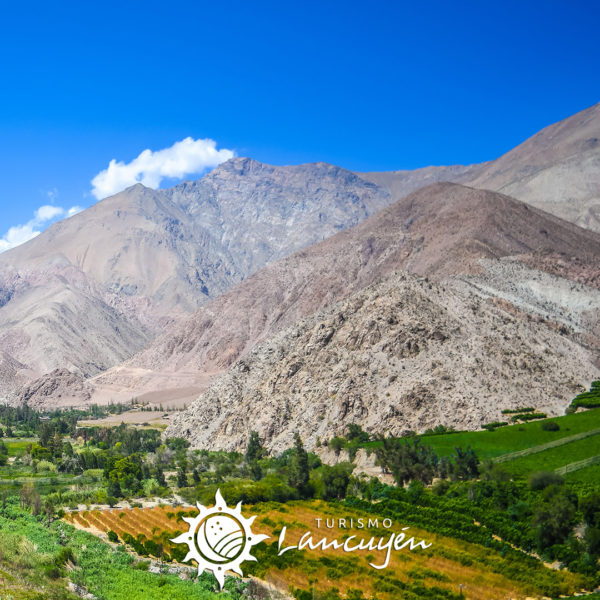 Tour Valle del Elqui