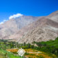 Tour Valle del Elqui