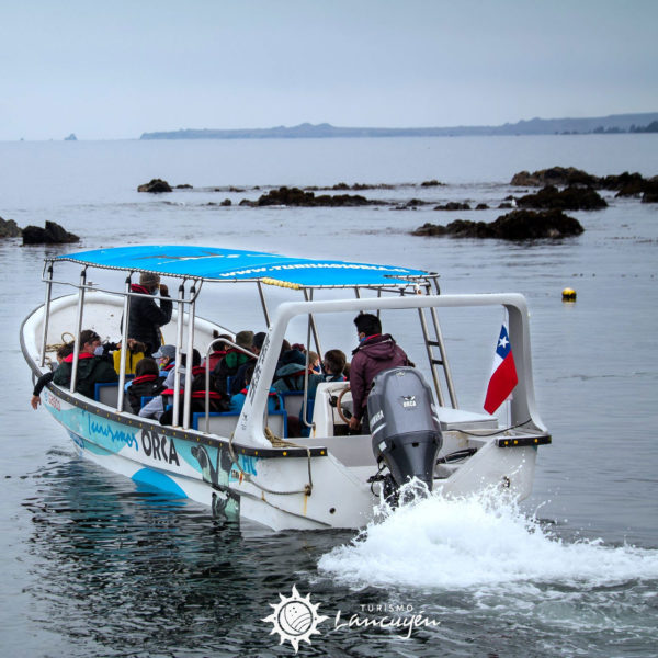 Turismo Lancuyen - Tour Chañaral de Aceituno