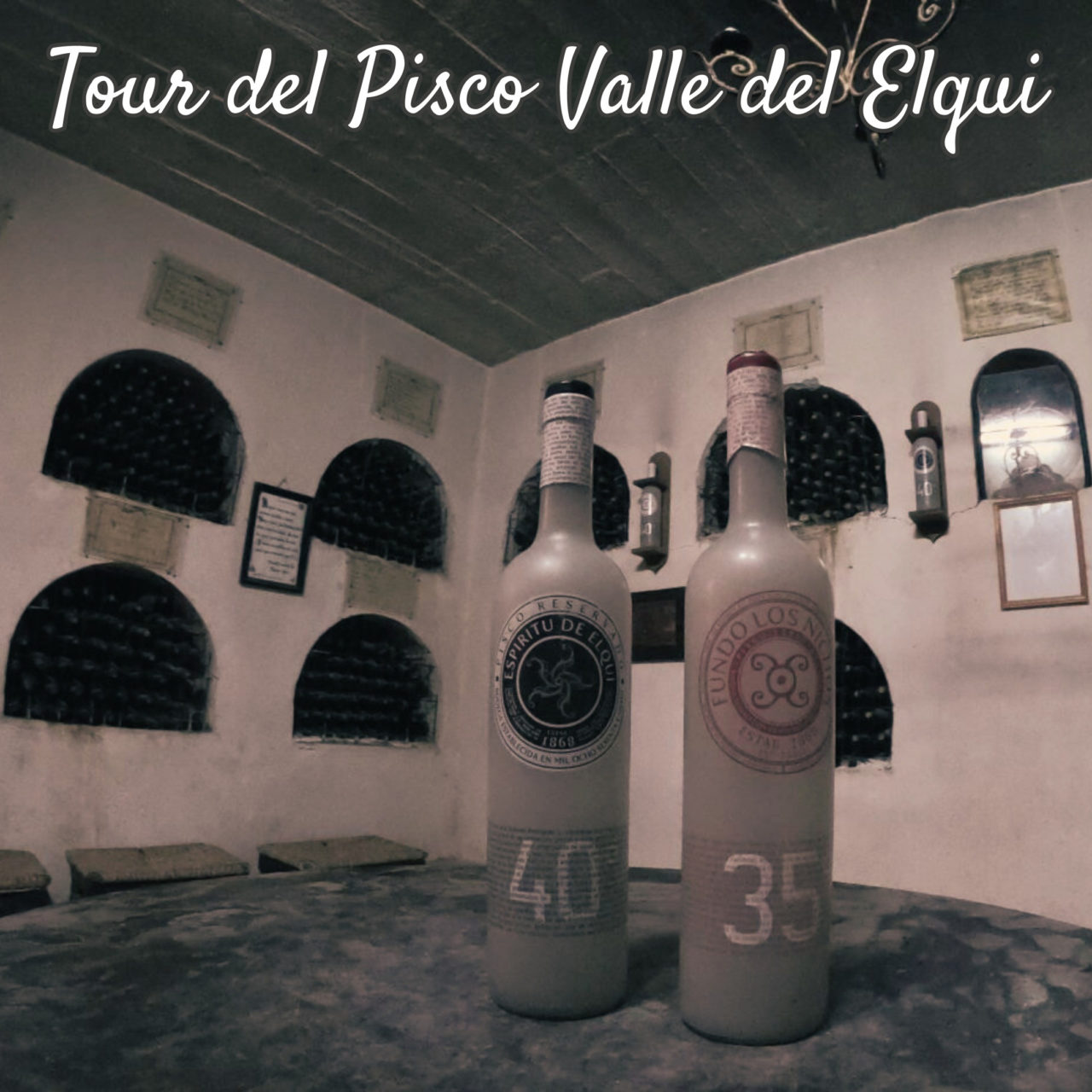 Pisco Tasting Tour - Elqui Valley