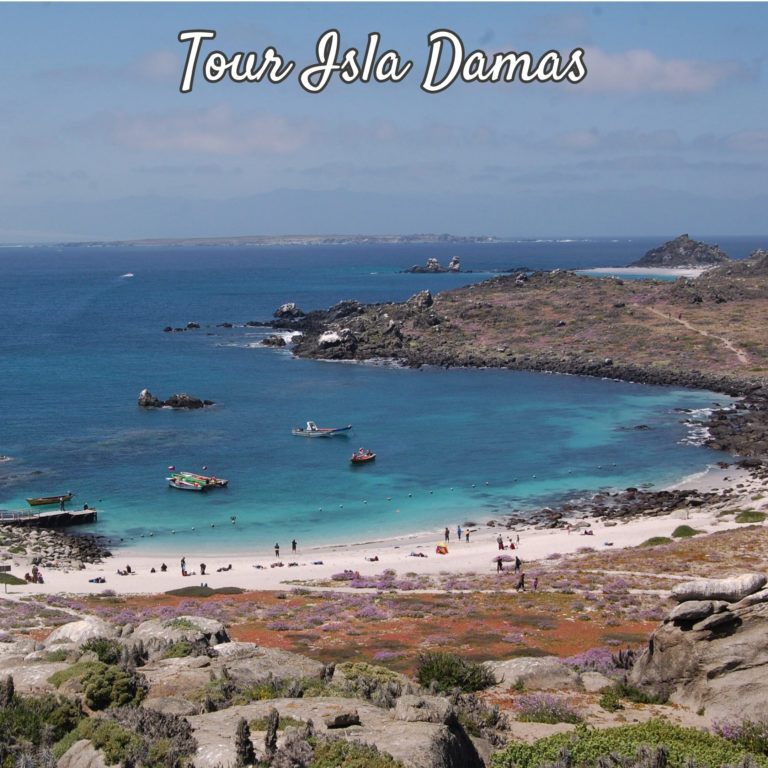 tour isla damas inicio