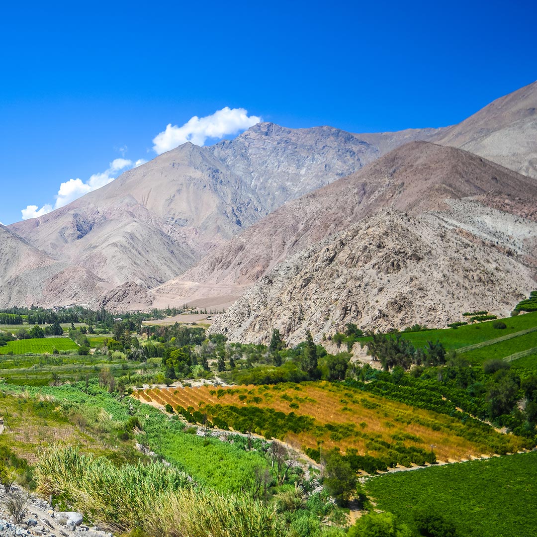 Tour-Valle-del-Elqui