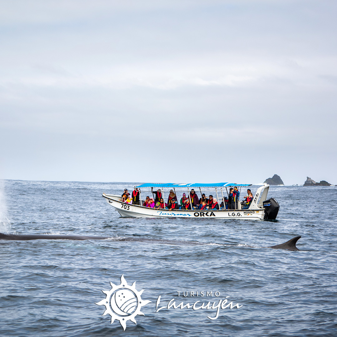 Turismo Lancuyen - Tour Avistamiento de Ballenas en Chañaral de Aceituno